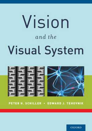 Vision and the Visual System de Peter H. Schiller