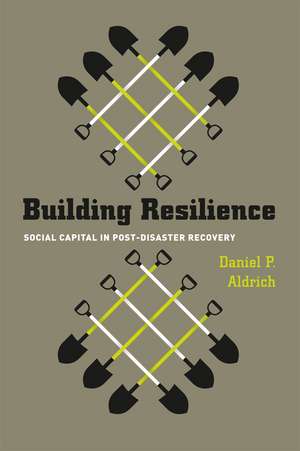 Building Resilience: Social Capital in Post-Disaster Recovery de Daniel P. Aldrich