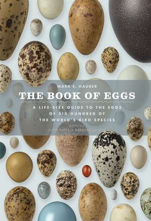 The Book of Eggs: A Life-Size Guide to the Eggs of Six Hundred of the World's Bird Species de Mark E. Hauber