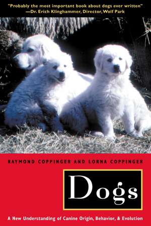 Dogs: A New Understanding of Canine Origin, Behavior and Evolution de Raymond Coppinger