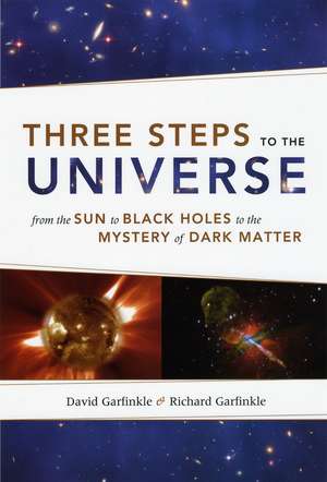 Three Steps to the Universe: From the Sun to Black Holes to the Mystery of Dark Matter de David Garfinkle