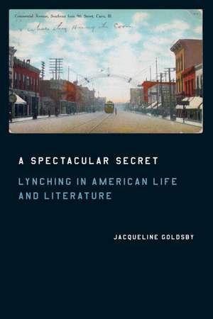 A Spectacular Secret: Lynching in American Life and Literature de Jacqueline Goldsby