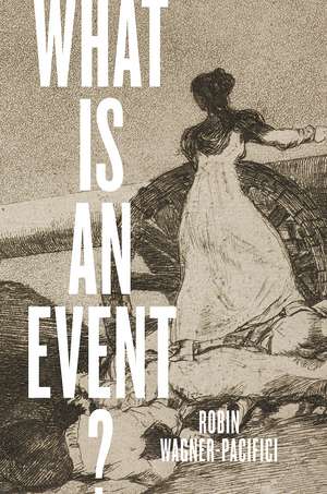 What Is an Event? de Robin Wagner-Pacifici