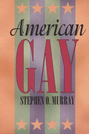 American Gay de Stephen O. Murray