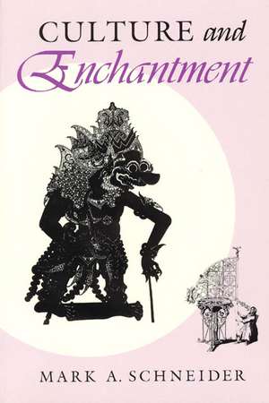 Culture and Enchantment de Mark A. Schneider