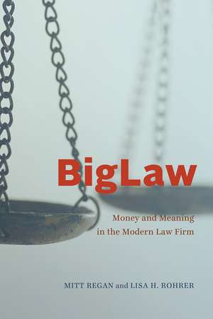 BigLaw: Money and Meaning in the Modern Law Firm de Mitt Regan