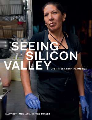 Seeing Silicon Valley: Life inside a Fraying America de Mary Beth Meehan