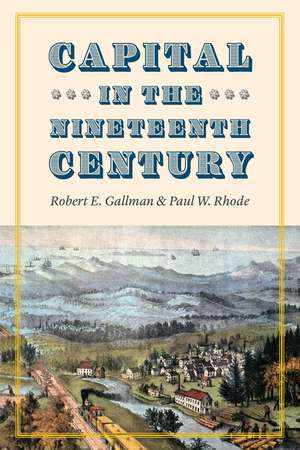 Capital in the Nineteenth Century de Robert E. Gallman