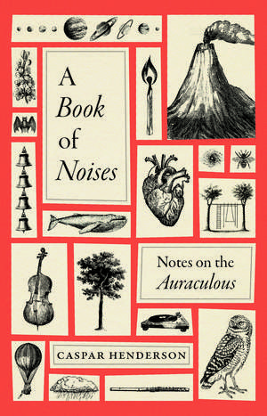 A Book of Noises: Notes on the Auraculous de Caspar Henderson