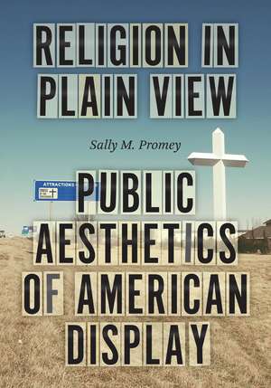 Religion in Plain View: Public Aesthetics of American Display de Sally M. Promey