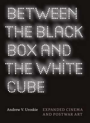 Between the Black Box and the White Cube: Expanded Cinema and Postwar Art de Andrew V. Uroskie