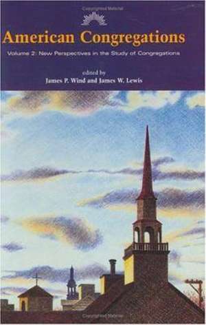 American Congregations, Volume 2: New Perspectives in the Study of Congregations de James P. Wind