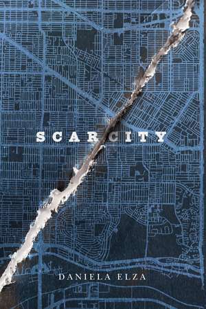 SCAR/CITY de Daniela Elza