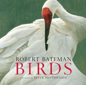 Birds de Kathryn Dean