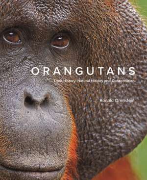 Orangutans de Ronald Orenstein