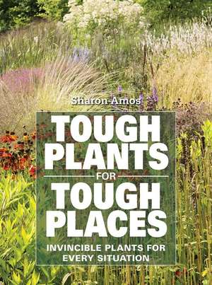 Tough Plants for Tough Places de Sharon Amos