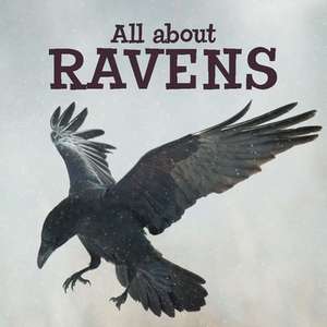 All about Ravens (English) de Arvaaq Press