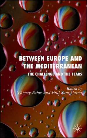 Between Europe and the Mediterranean: The Challenges and the Fears de Thierry Fabre