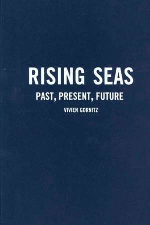 Rising Seas – Past, Present, Future de Vivien Gornitz
