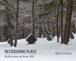 Recovering Place – Reflections on Stone Hill de Mark C. Taylor