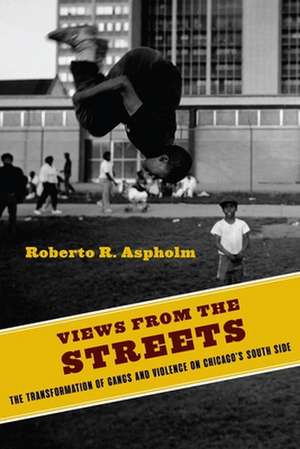 Views from the Streets – The Transformation of Gangs and Violence on Chicago`s South Side de Roberto Aspholm