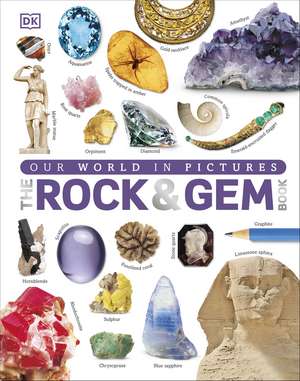 Our World in Pictures: The Rock and Gem Book de Dan Green