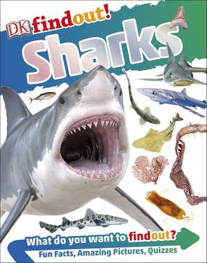Dk: DKfindout! Sharks