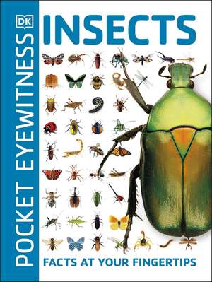 Pocket Eyewitness Insects: Facts at Your Fingertips de DK