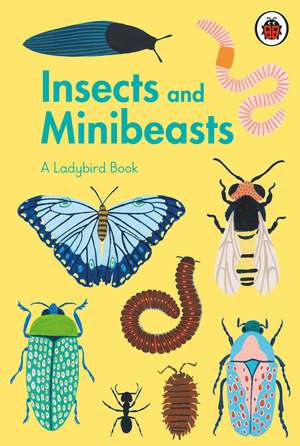 A Ladybird Book: Insects and Minibeasts de Amber Davenport