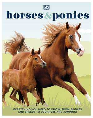 Horses & Ponies: Everything You Need to Know, From Bridles and Breeds to Jodhpurs and Jumping! de DK