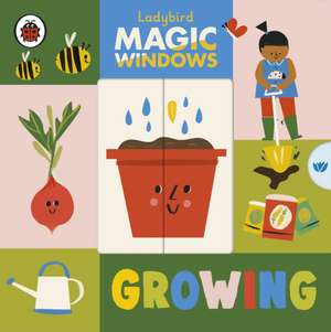 Magic Windows: Growing de Libby Burns