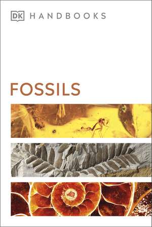 Fossils de DK