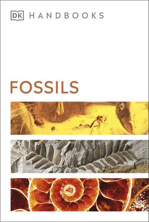 Ward, D: Fossils