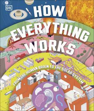 How Everything Works: From Brain Cells to Black Holes de DK