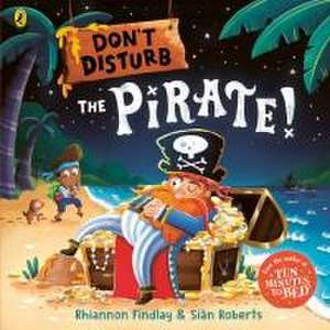 Don't Disturb The Pirate de Rhiannon Findlay