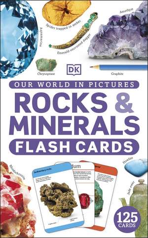 Our World in Pictures Rocks & Minerals Flash Cards de DK