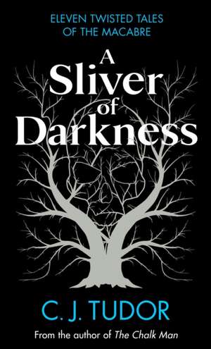 A Sliver of Darkness de C. J. Tudor