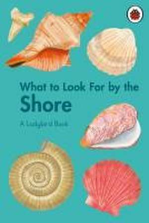 What to Look For by the Shore de Becky Brown