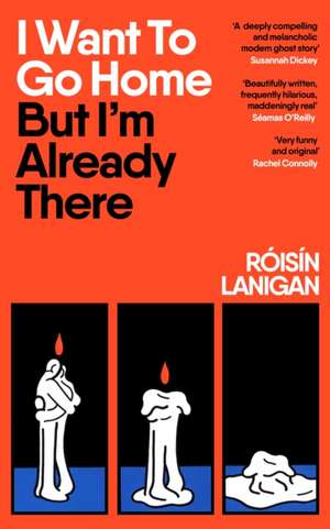 I Want To Go Home But I'm Already There de Roisin Lanigan