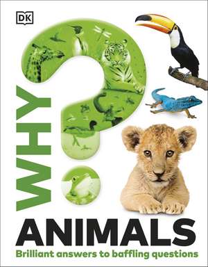Why? Animals de Dk