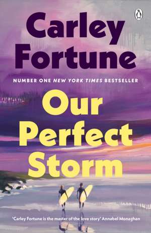 Our Perfect Storm de Carley Fortune