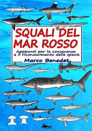 Squali del Mar Rosso de Marco Benedet