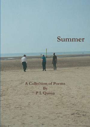 Summer de P L Quinn