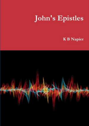 John's Epistles de K B Napier