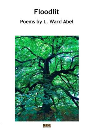 Floodlit de L. Ward Abel