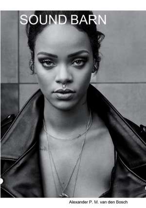 SOUND BARN de Alexander P. M. van den Bosch