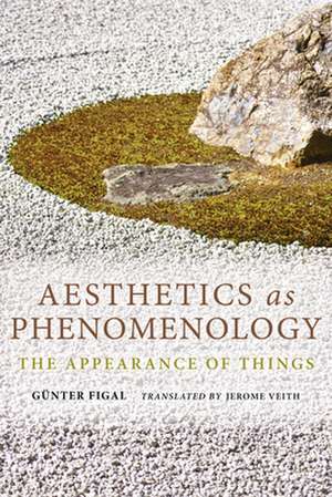 Aesthetics as Phenomenology – The Appearance of Things de Günter Figal