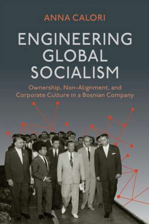 Engineering Global Socialism de Anna Calori