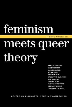 Feminism Meets Queer Theory de Naomi Schor