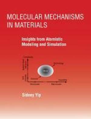 Molecular Mechanisms in Materials de Sidney Yip